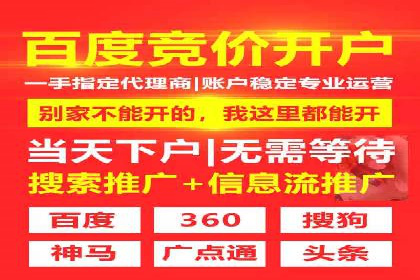 SEM优化技巧：实战案例深度剖析